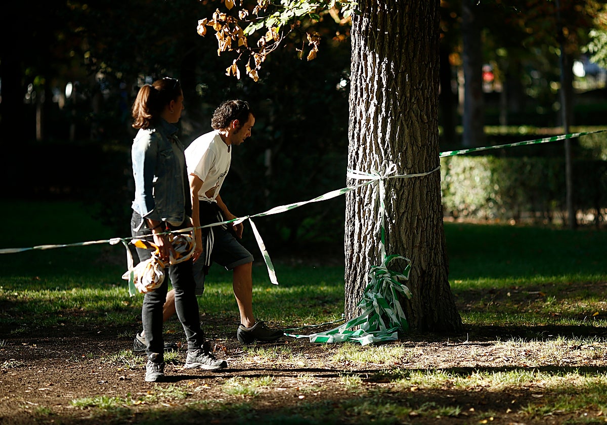 Técnicos inspeccionando los árboles del parque