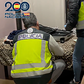 Liberadas 11 mujeres en Tenerife que eran obligadas a prostituirse bajo la coacción de una red