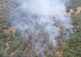Varios aviones del Infoca y Bomberos trabajan en la extinción de un incendio forestal en una finca en Trassierra