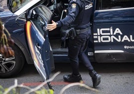 Mata a martillazos a su pareja, tras denunciarse su desaparición, y luego se suicida en Fuengirola