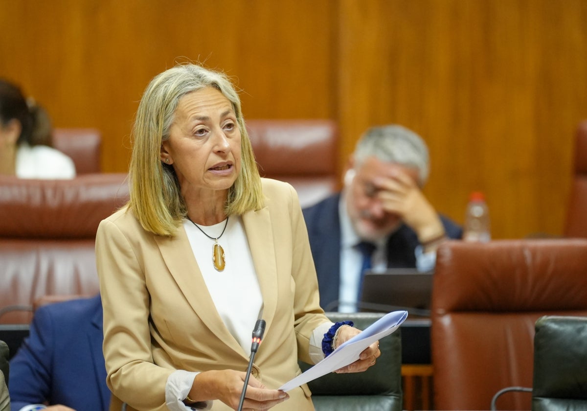 La consejera de Salud y Consumo, Rocío Hernández, en el Parlamento de Andalucía