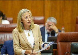 La consejera de Salud y Consumo, Rocío Hernández, en el Parlamento de Andalucía