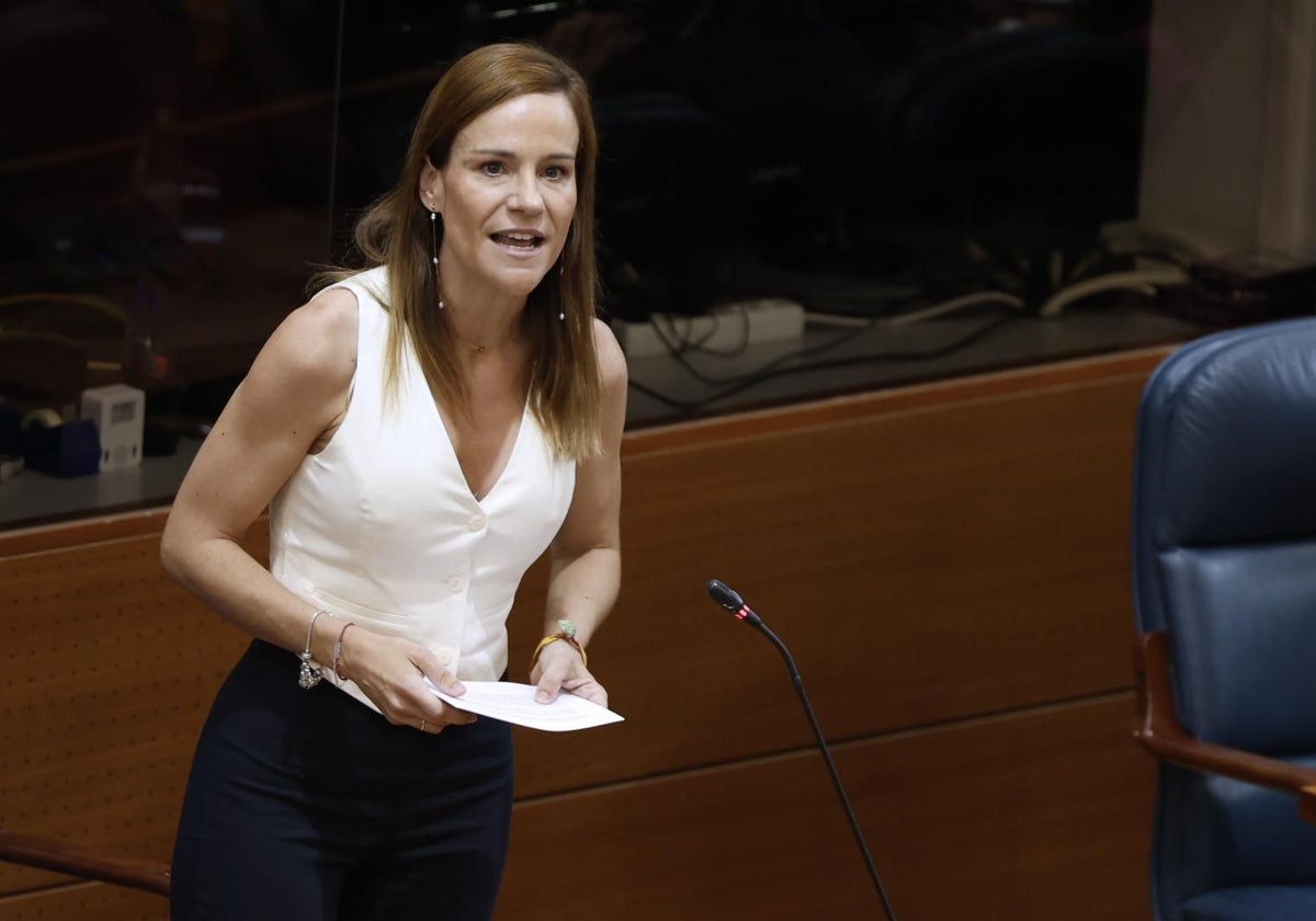 La portavoz de Vox en la Asamblea de Madrid, Isabel Pérez Moñino