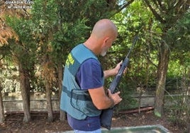 Investigado por disparar con una pistola de aire comprimido a un perro, que murió de una hemorragia interna