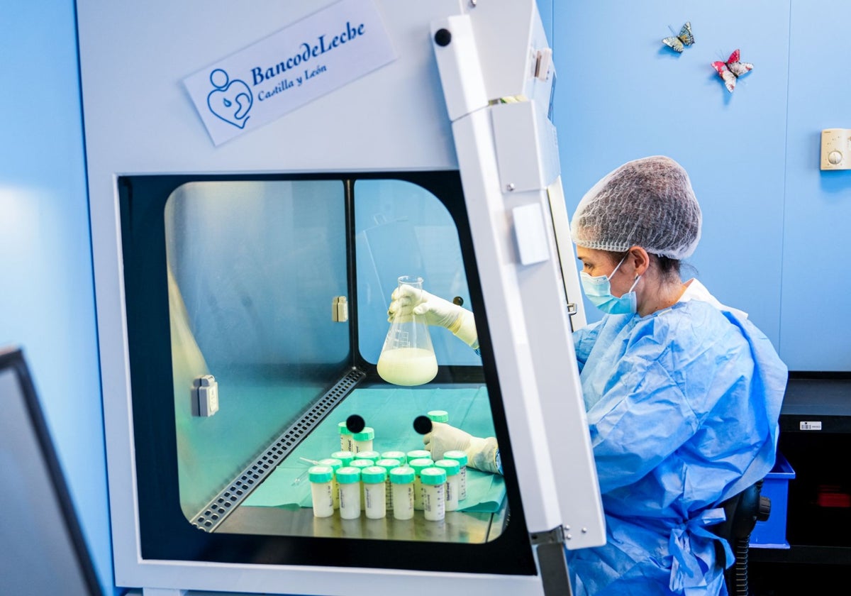 Tratamiento de la leche materna en el Centro de Hemodonación y Hemoterapia de Castilla y León
