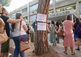 Más de 17.000 opositores optan a las 1.386 plazas de maestro, Secundaria y otros cuerpos en Castilla y León