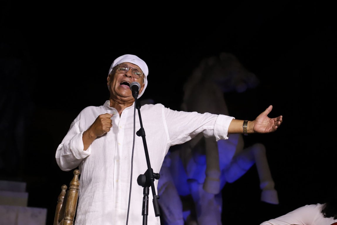 El Pele y Chico Pérez deslumbran con su talento en la Noche Blanca del Flamenco en Córdoba, en imágenes