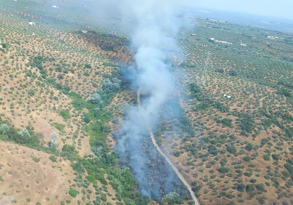 Imagen del incendio forestal activo en Montoro