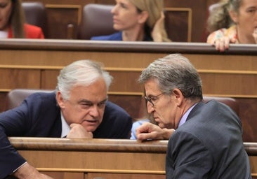 Feijóo medita aprovechar la salida de Pons para partir en dos su vicesecretaría