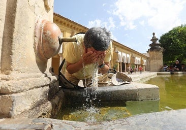 Muertes por calor extremo en Córdoba: la provincia registra 125 en los cinco últimos veranos