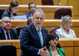 Torres defiende su gestión durante pandemia: «En Canarias se hicieron las cosas de la mejor manera»