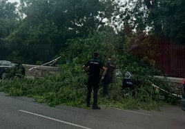 La alerta amarilla por lluvias y tormentas deja más de 200 incidencias en la Comunidad de Madrid