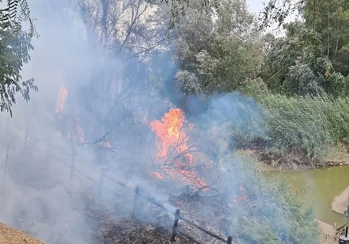 Fotografías del incendio subidas al grupo Palmeños en Red