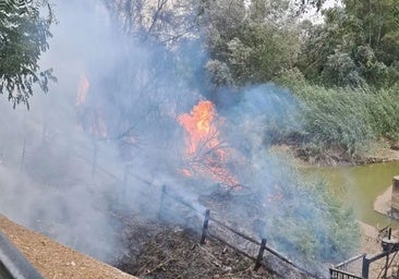 El Infoca trabaja en la extinción de un incendio en la ribera del río Genil junto al recinto ferial