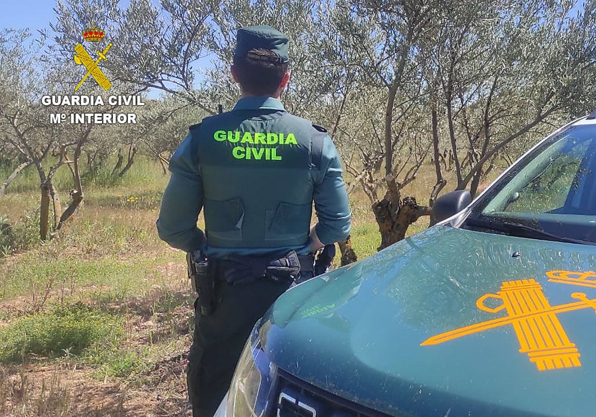 Investigado como posible asesinato machista el hallazgo del cadáver de una mujer en una cueva de Cifuentes (Guadalajara)