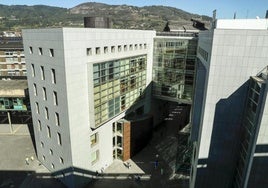 Acepta 12 años y medio de cárcel y 10 de libertad vigilada por asesinar una mujer en Asturias en 2023