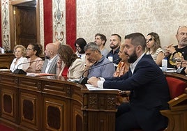 El Ayuntamiento de Alicante pide el cambio de la ciudad a zona castellanohablante y el PSOE pleiteará en contra