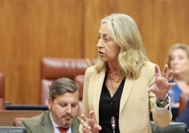 El Parlamento andaluz aprueba mejorar los sueldos de profesionales sanitarios y la inversión por habitante