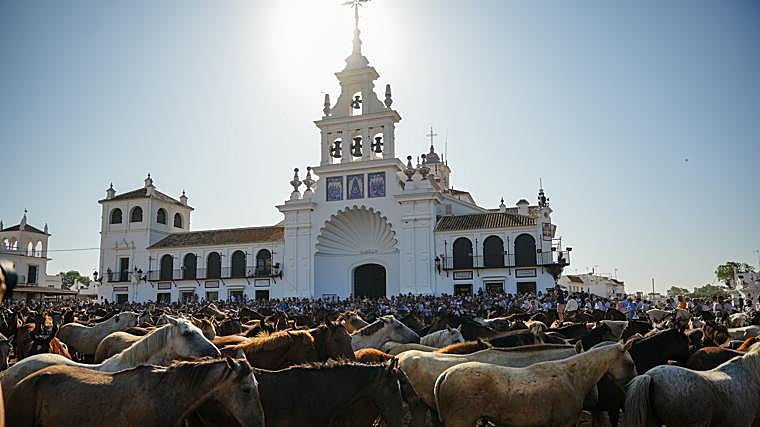 Doñana revive la ancestral &#039;Saca de Yeguas&#039;, un rito que une tradición, cultura y turismo