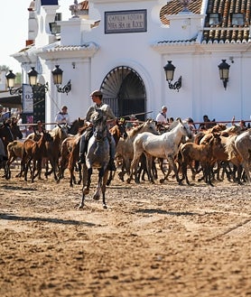 Imagen secundaria 2 - Doñana revive la ancestral &#039;Saca de Yeguas&#039;, un rito que une tradición, cultura y turismo