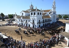 Doñana revive la ancestral 'Saca de Yeguas', un rito que une tradición, cultura y turismo