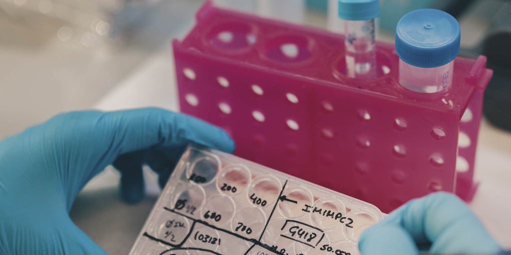 El cáncer continúa siendo la primera causa de muerte en la Comunidad Valenciana