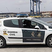 Tortugas exóticas entre peluches y calcetines: el paquete de China interceptado en Valencia