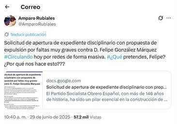 La presidenta del PSOE de Sevilla, Amparo Rubiales, promociona una recogida de firmas para expulsar a Felipe González por criticar a Pedro Sánchez