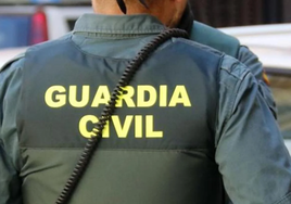 Detenidos en España y Francia los seis integrantes de una banda dedicada al tráfico internacional de marihuana