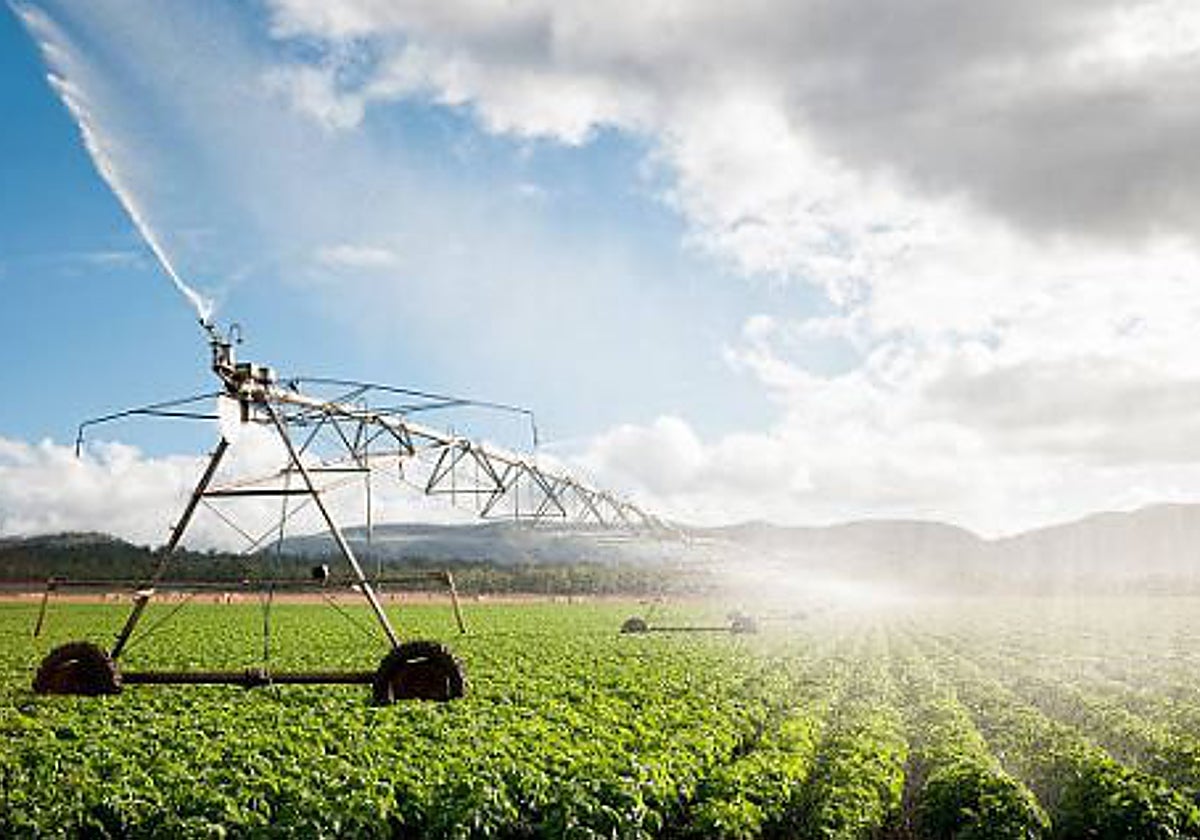 El Ministerio de Agricultura invierte 12,9 millones en regadíos sostenibles en Mora y Mascaraque