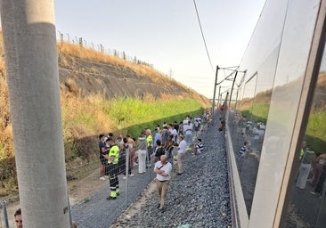 Restablecida la circulación ferroviaria entre Madrid y Andalucía tras la reparación de la catenaria en Toledo