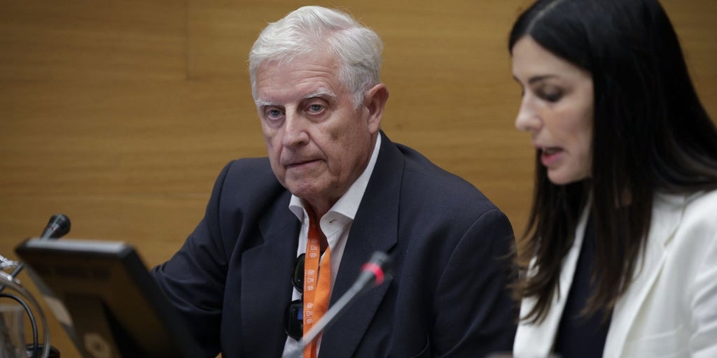 La comisión de la dana en las Cortes Valencianas empieza con el PSOE llamando «opinador» a un experto que criticó a Sánchez