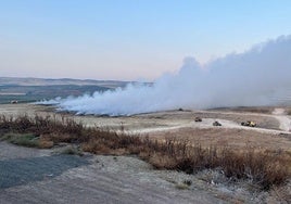 Sadeco retomará la recogida de basura esta noche tras la extinción del incendio en El Lobatón