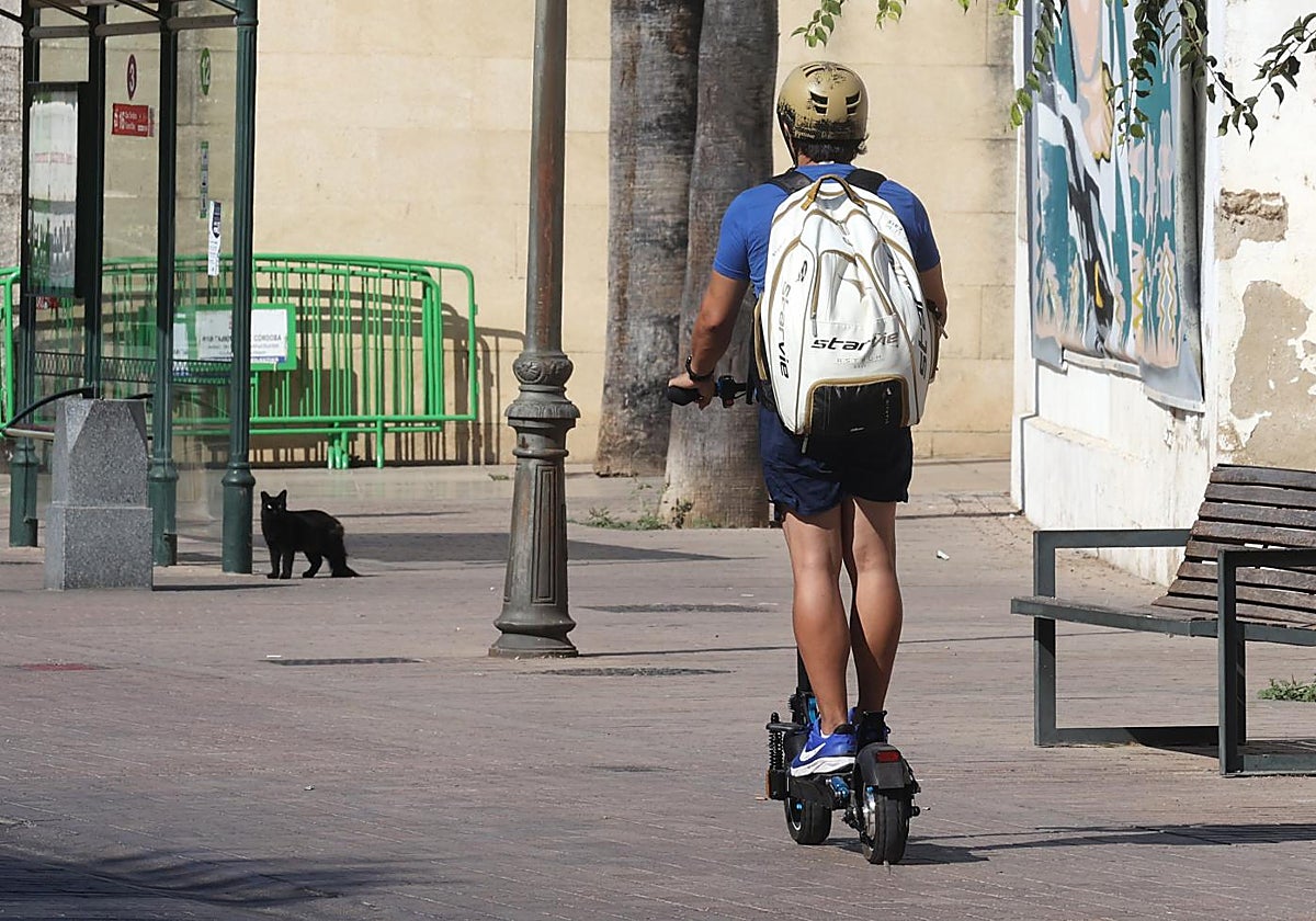 Imagen de archivo de un conductor de un patinete eléctrico, ajeno a esta noticia
