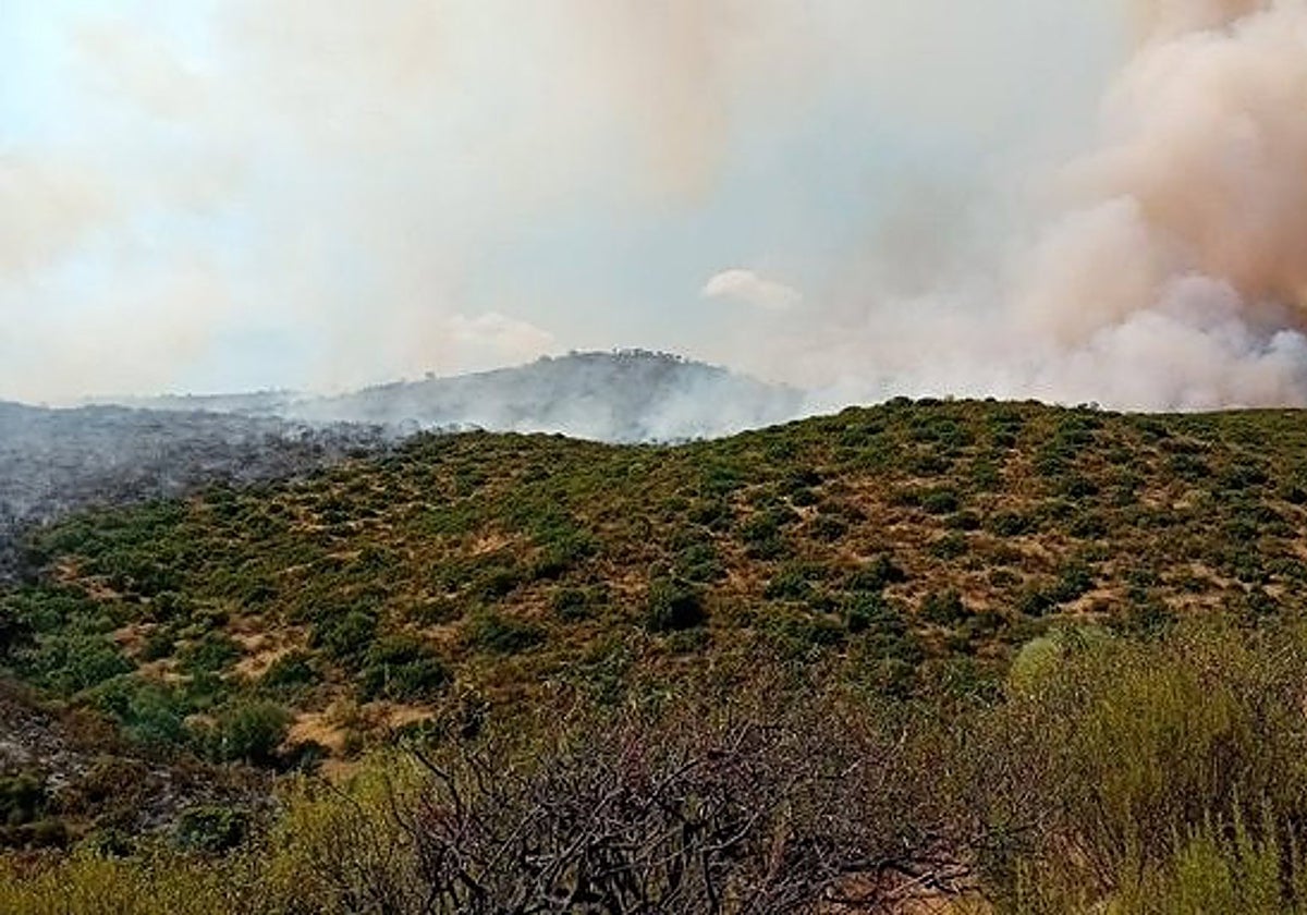 Incendio en la Sierra de Andújar