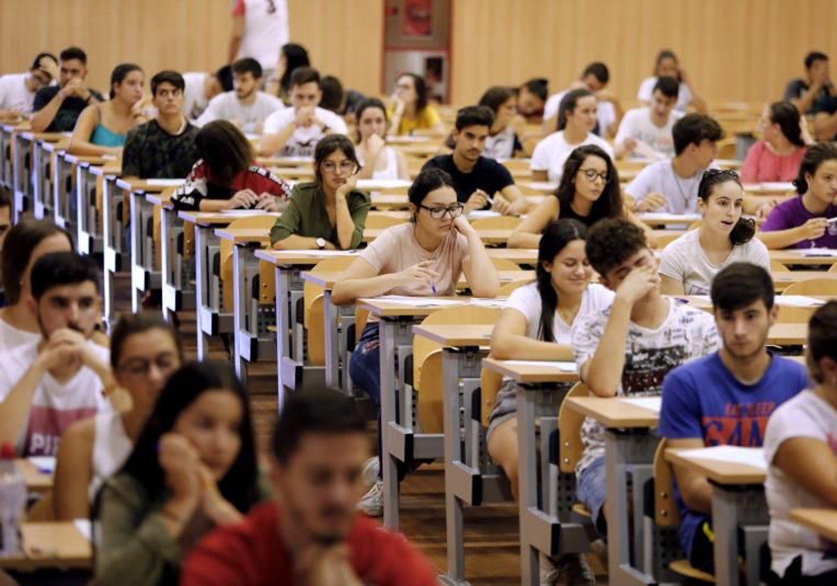 Alumnos durante la selectividad en Córdoba en un aula de la Facultad de Medicina
