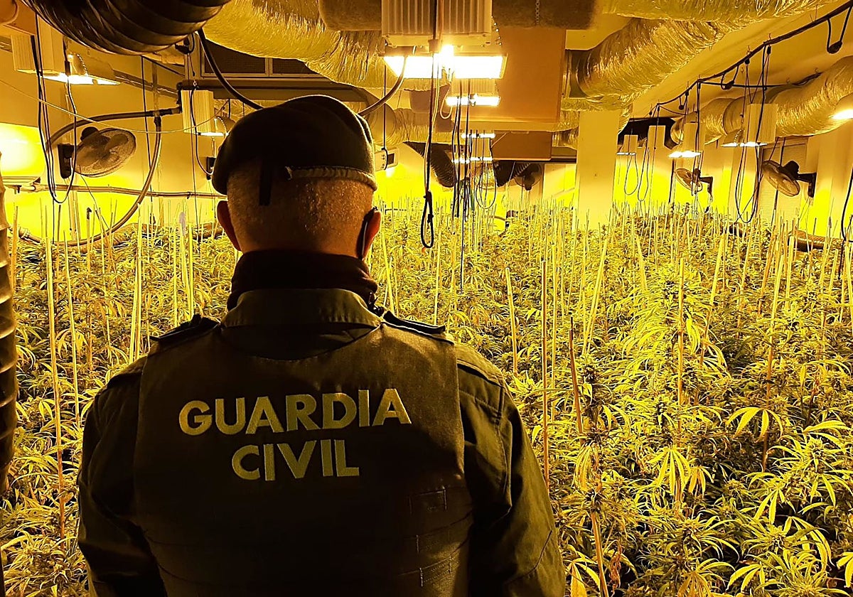 Imagen de archivo de otra operación de la Guardia Civil contra la marihuana cerca de Granada