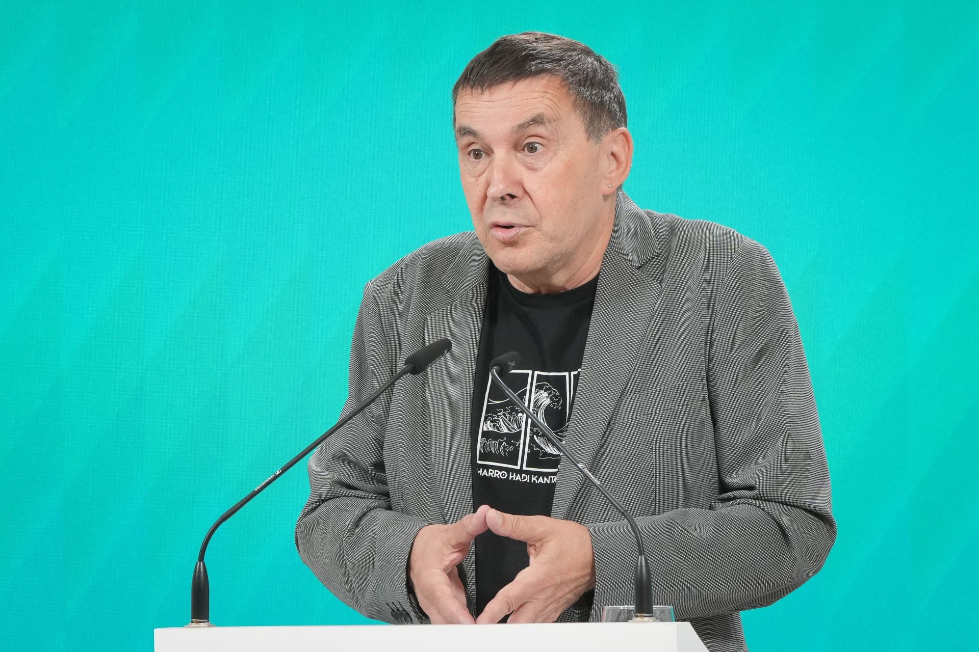 El secretario general de EH Bildu, Arnaldo Otegi