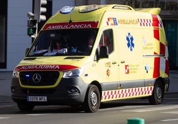 Muere un hombre tras caerle un árbol encima durante una tormenta en León