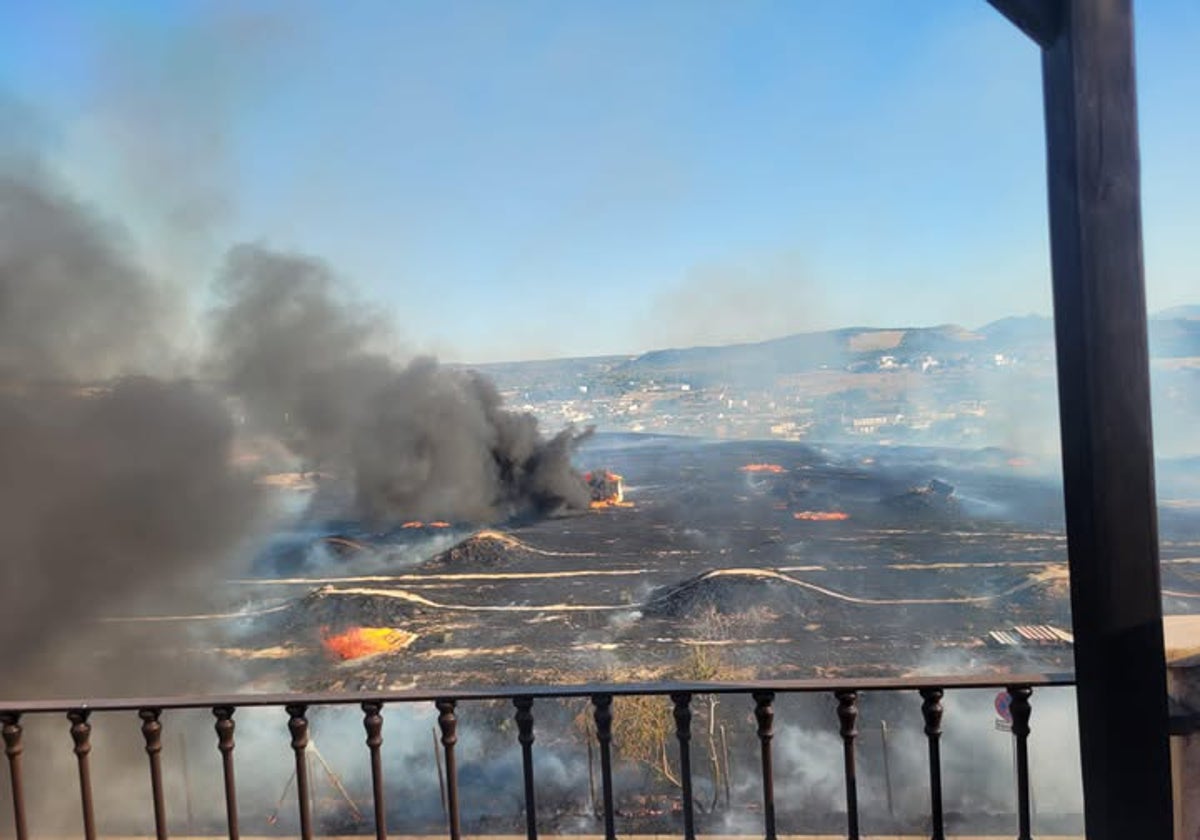 Imagen de una de las zonas asolada por uno de los incendios declarados en Puente Genil