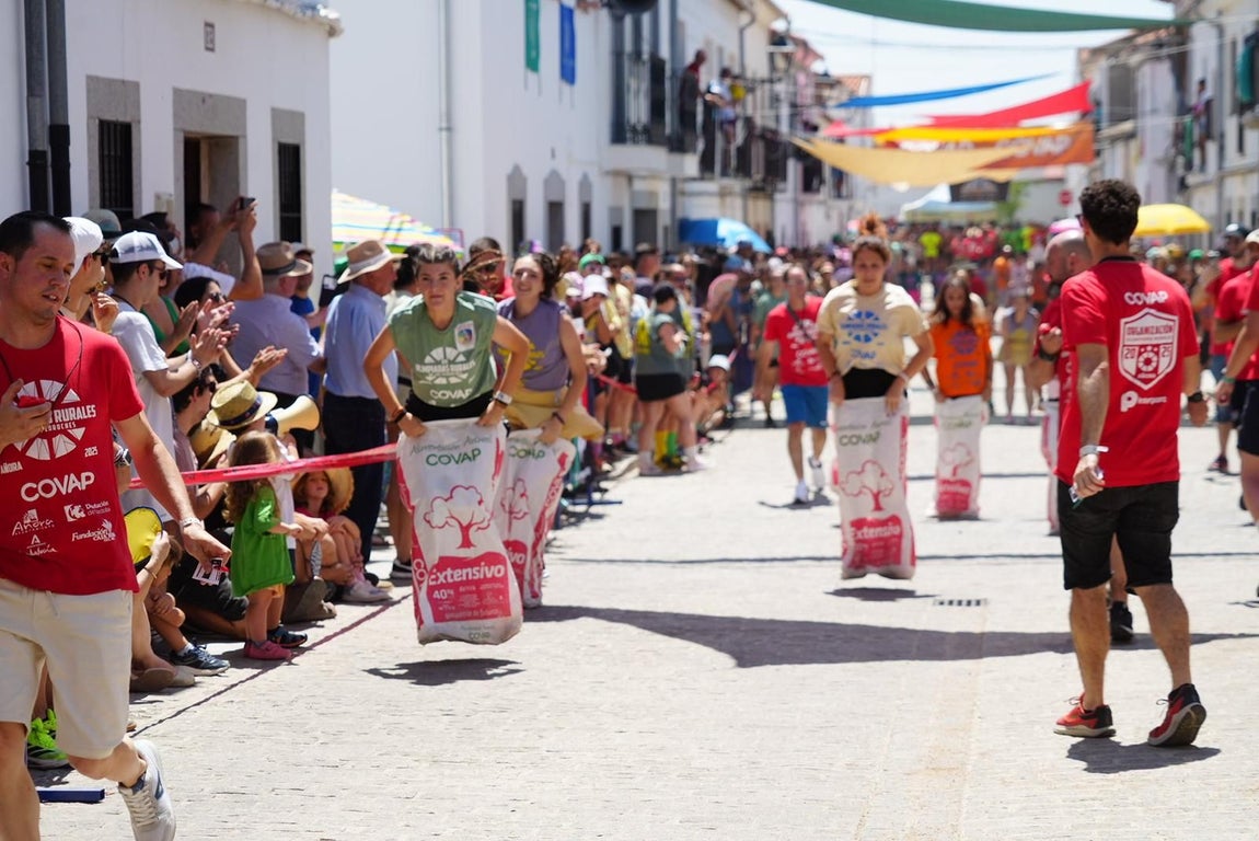 Las Olimpiadas Rurales reviven en Añora el juego más tradicional, en imágenes