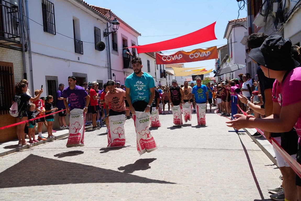 Las Olimpiadas Rurales reviven en Añora el juego más tradicional, en imágenes