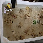 Caen dos camellos huidizos que se mudaban de pisos turísticos donde se consumía droga alfa PIHP de euforía sexual para 'chemsex'