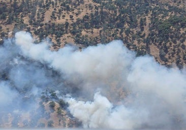 Controlado el incendio forestal de pasto y matorral en Cardeña