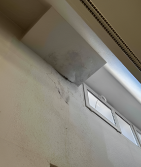 Imagen secundaria 2 - Las humedades están presentes en múltiples habitaciones del Centro de Minusválidos. Habitaciones a la que no pueden acceder camillas mecanizadas y plantas enteras cerradas por las humedades.