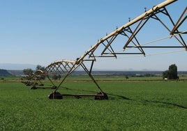 Aguas regeneradas: el modelo de riego que empieza a extenderse por el campo de Córdoba