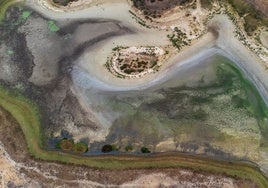 La Unesco pide a España proteger el acuífero de Doñana para que no sea «Patrimonio Mundial en Peligro»
