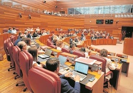 Una ley diseñada por el PP y otra por la oposición, saldo de las Cortes este curso