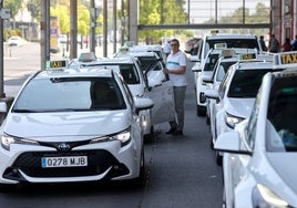 Córdoba actualizará con un estudio las licencias de taxi ante el crecimiento de la ciudad, el turismo y los eventos