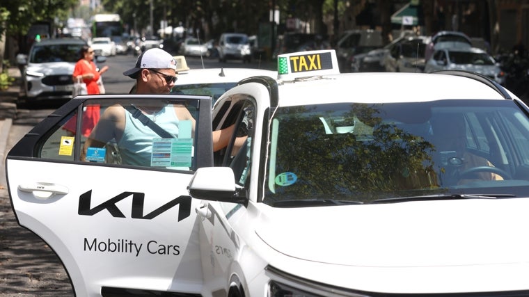 Córdoba actualizará con un estudio las licencias de taxi ante el crecimiento de la ciudad, el turismo y los eventos